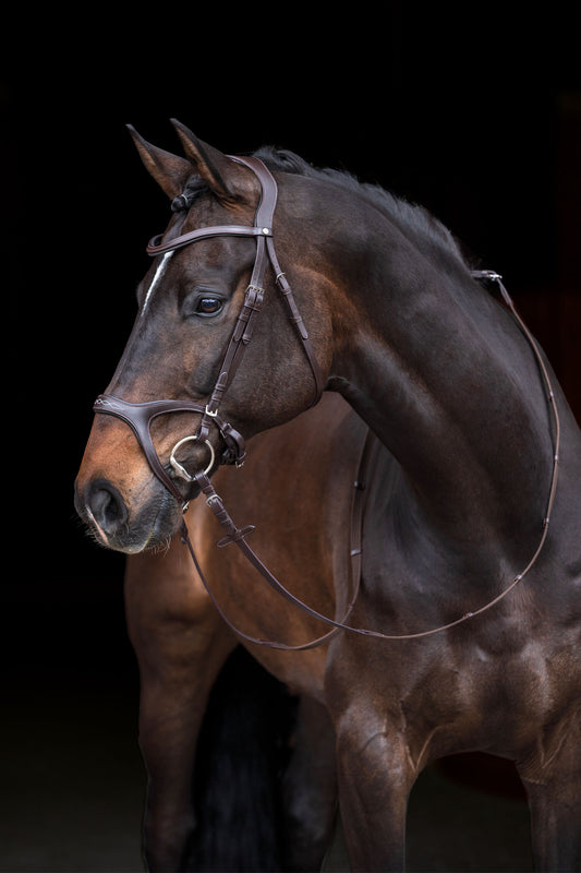 Anatomic Sports Bridle