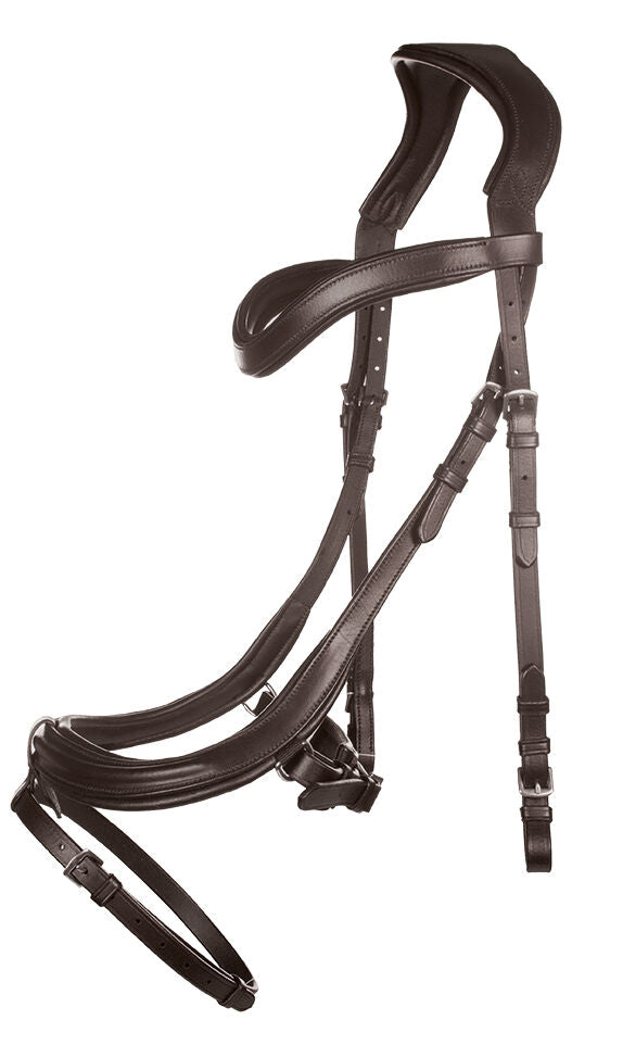 Anatomic Bridle