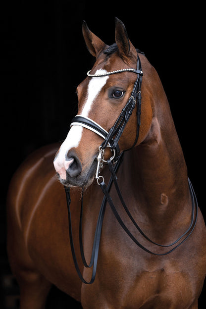 Dina Double Bridle