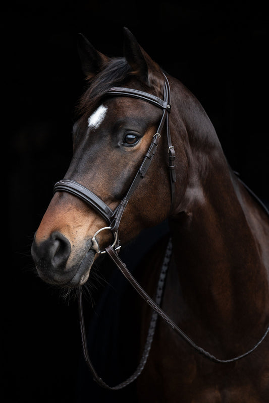 Hunter 2 Bridle