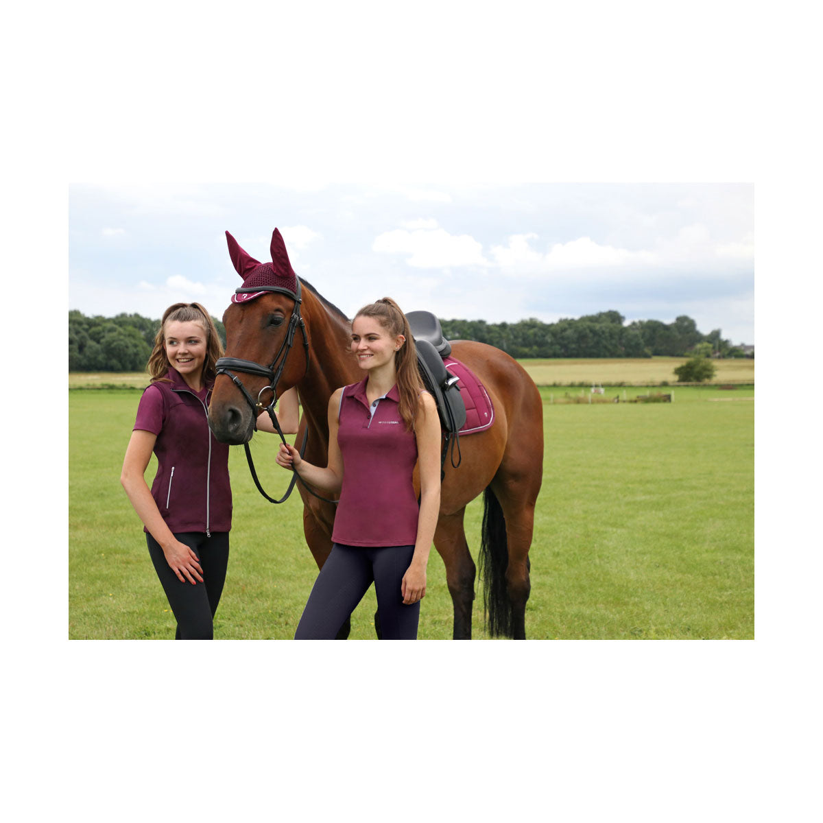 Hy Equestrian Synergy T-Shirt (5 Colours)