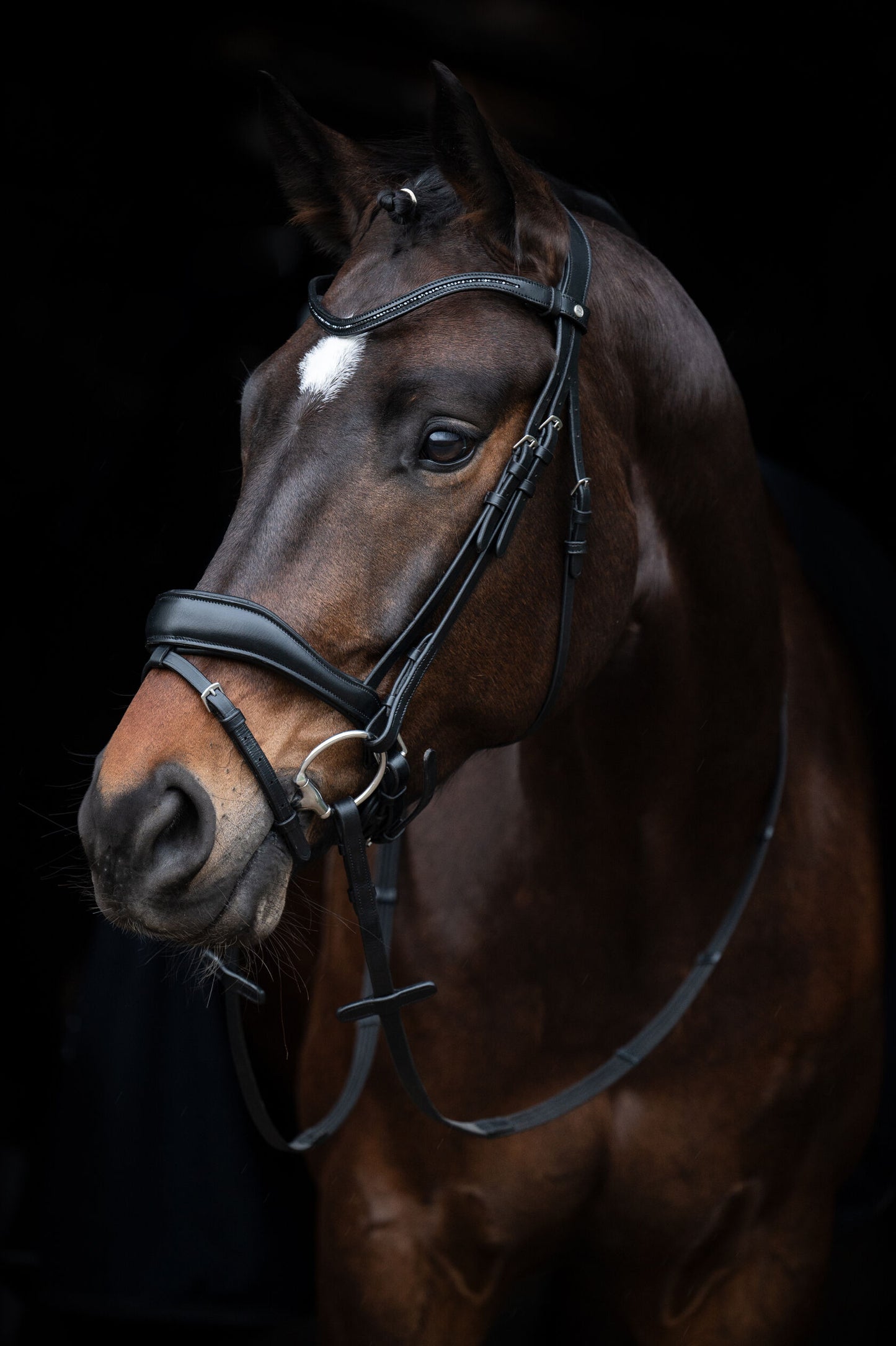 Ira Bridle