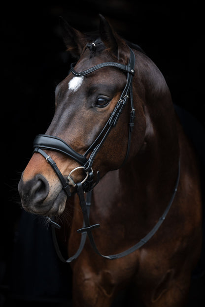 Ira Bridle