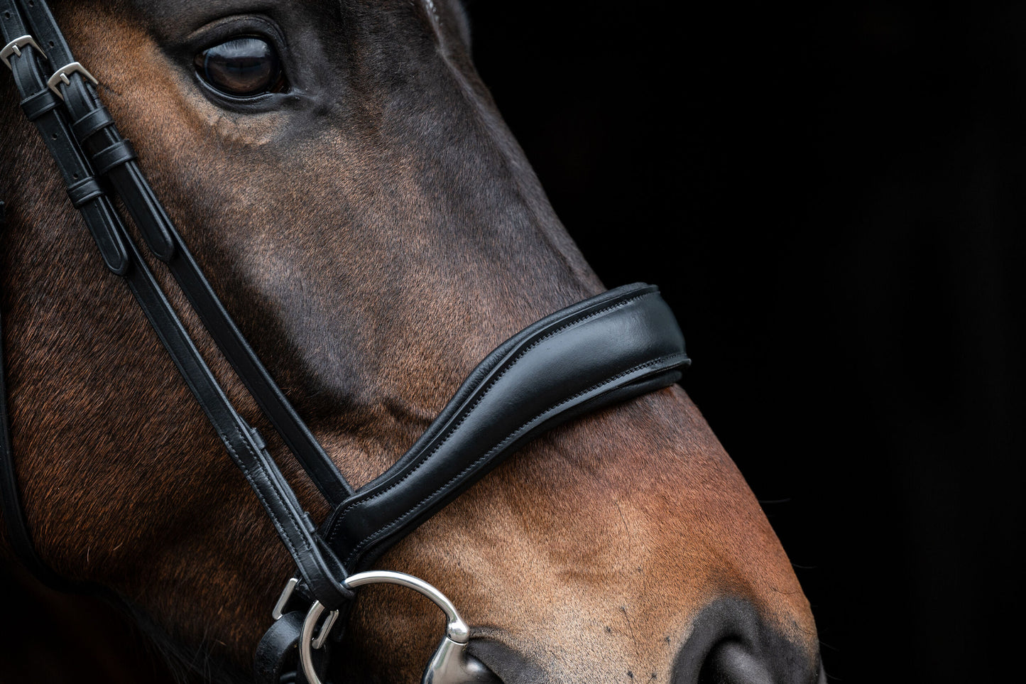 Ira Bridle