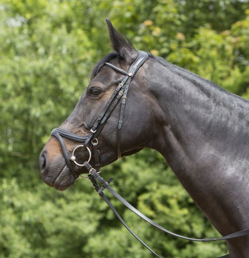 Kieffer Ultrasoft ‘Tara’ Bridle