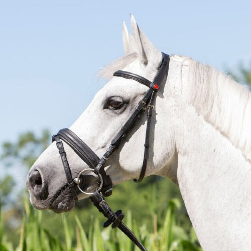 Kieffer Ultrasoft ‘Economy’ Bridle