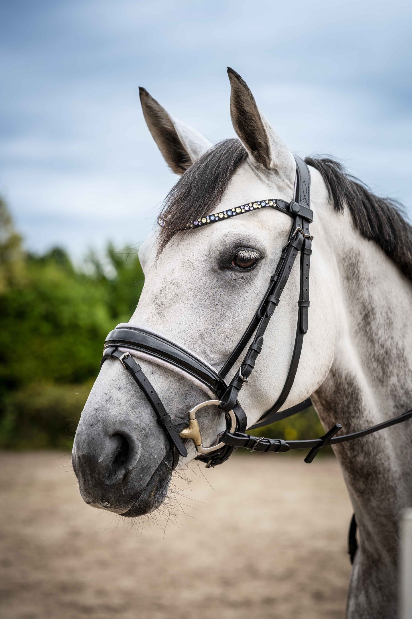 Sophia Bridle